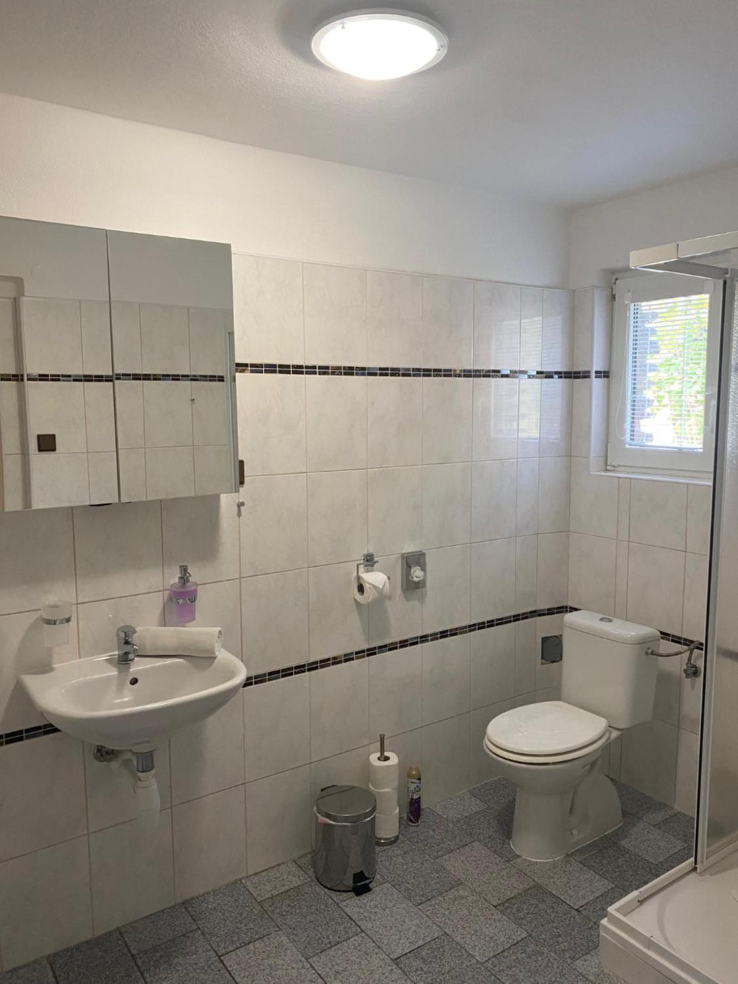 Apartmany Nad Rybnikem Železná Ruda Dış mekan fotoğraf