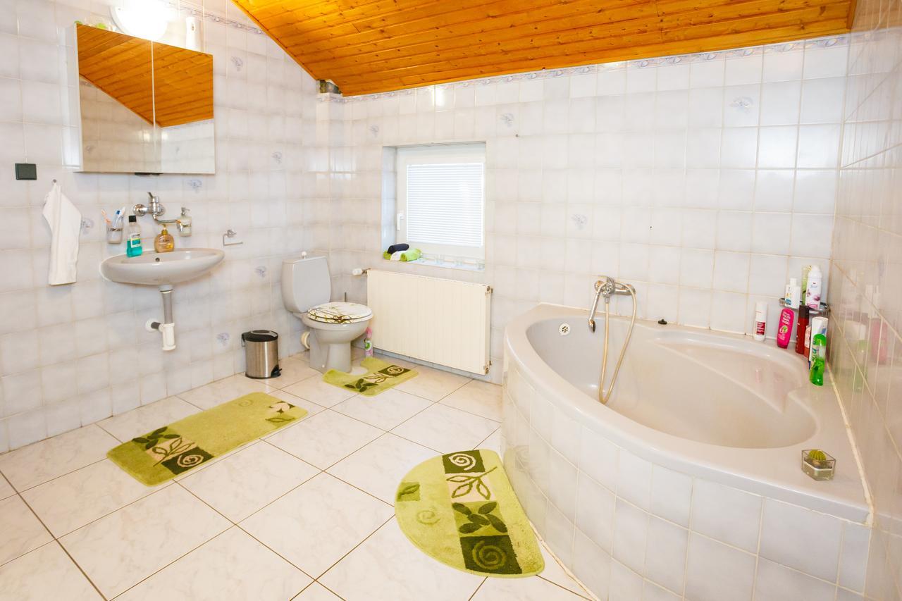 Apartmany Nad Rybnikem Železná Ruda Dış mekan fotoğraf
